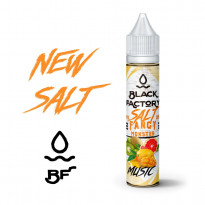 Fancy Monster Salt 30 ml Music