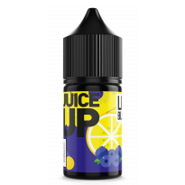 Fucked Juice Up Salt Blueberry Lemon 30 ml