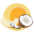 Coconut Melon